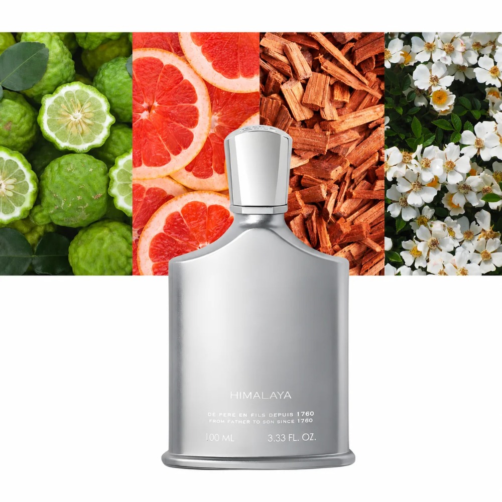 Aventus Fragrance For Men 100m - Perfume And Fragrance review and price